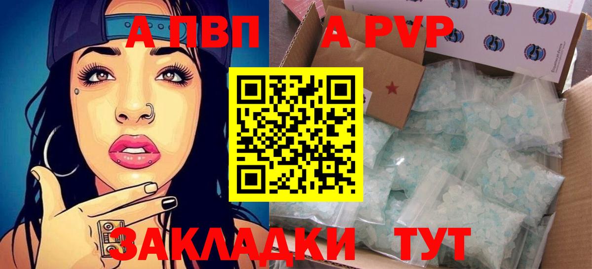 Альфа ПВП СК Сокол