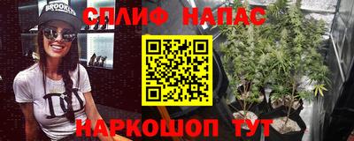 прущие грибы Малгобек
