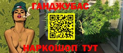 прущие грибы Малгобек