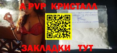 прущие грибы Малгобек