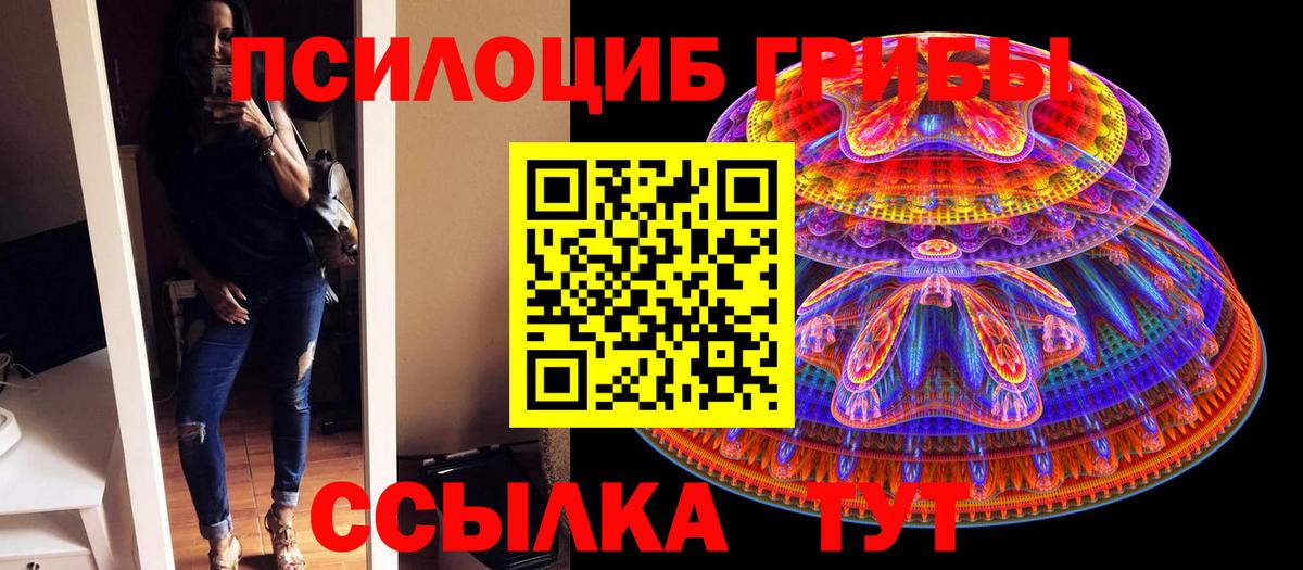 как найти наркотики  Галлюциногенные грибы прущие грибы  Вход с VPN  Сокол 